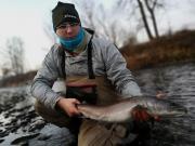Steven and Hucho Huchen Danube salmon, Dec